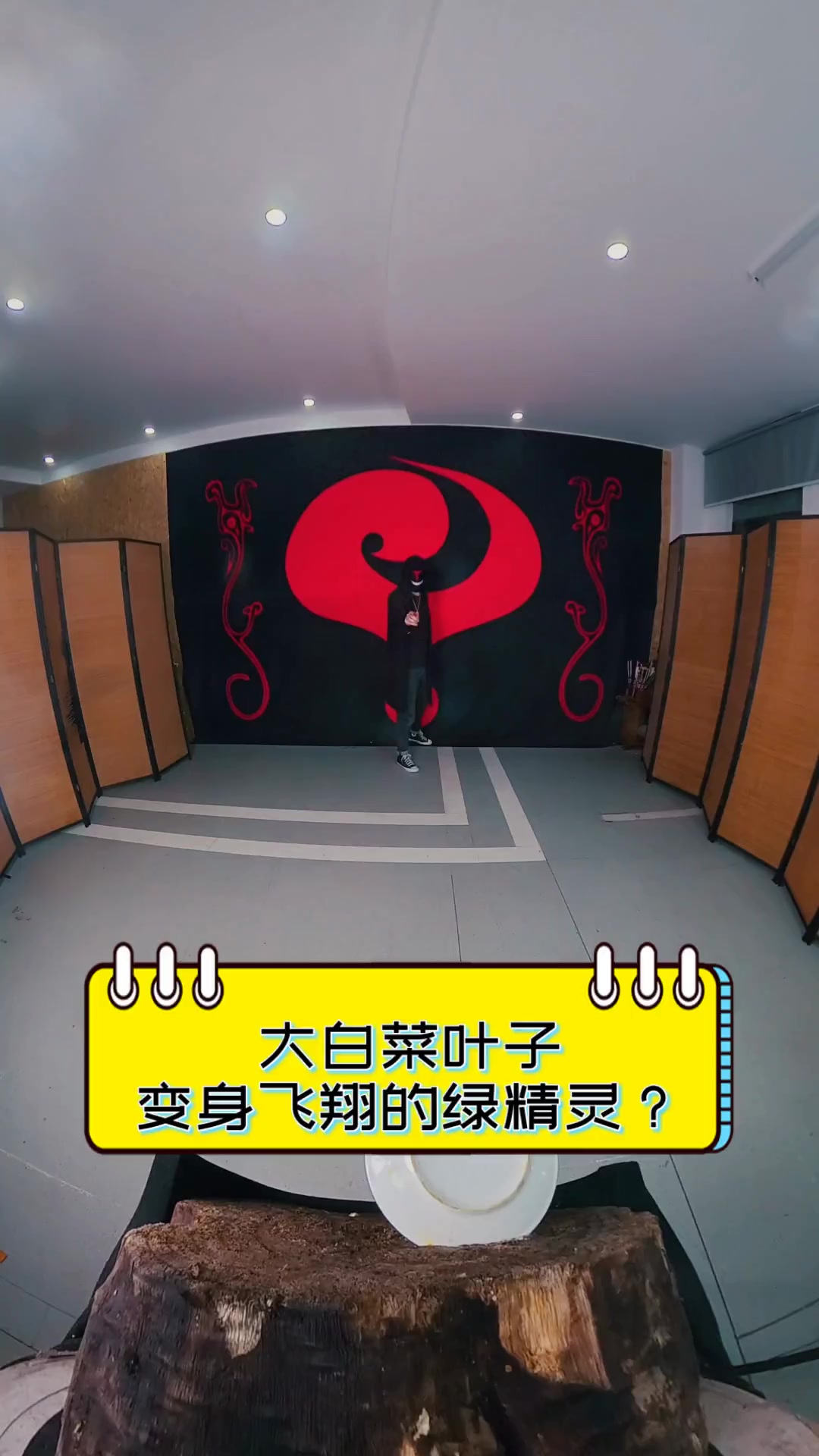 大白菜叶子,变身飞翔的绿精灵?