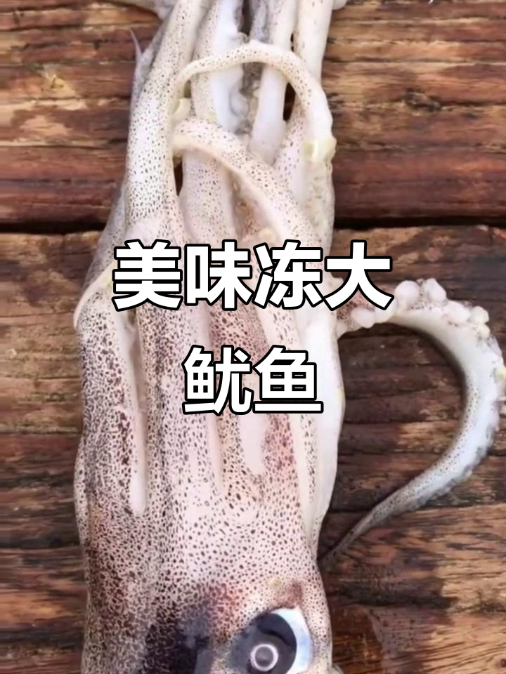 冷冻大鱿鱼，鲜美脆嫩，纹理清晰可见