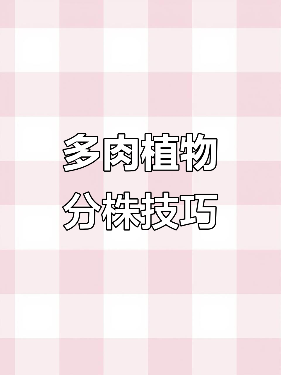多肉植物如何分株扦插,轻松爆侧芽