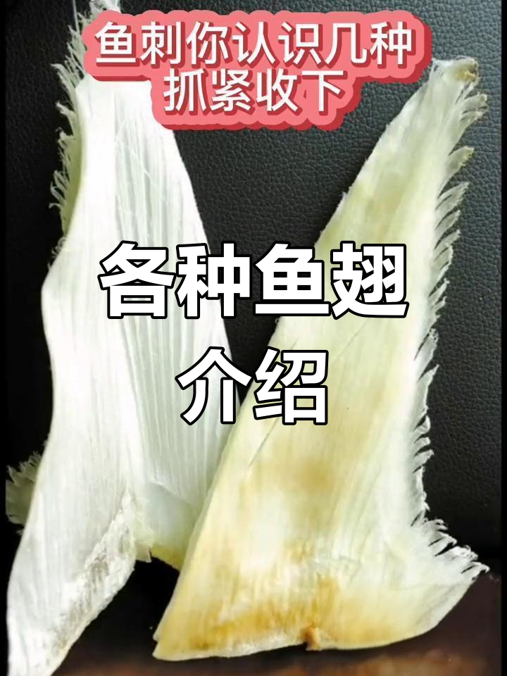 鱼翅种类大揭秘,滋补养生全攻略