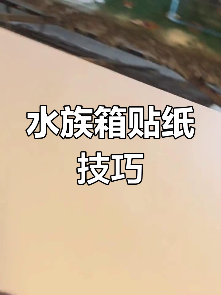 贴纸气泡问题解决全攻略,水族箱背景轻松搞定