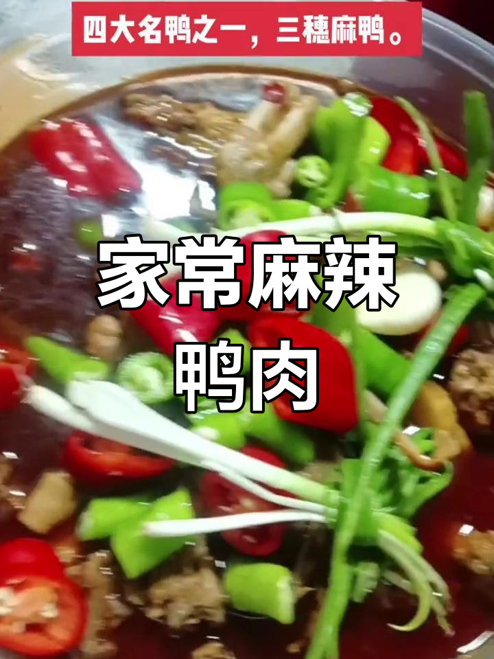 麻鸭美味大揭秘:家常红烧、啤酒鸭,口感超赞!