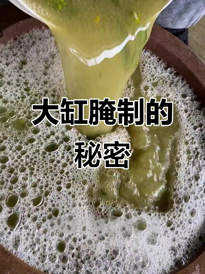 安徽油菜苔烧肉美味秘诀:大缸腌制咸菜,口感更鲜美