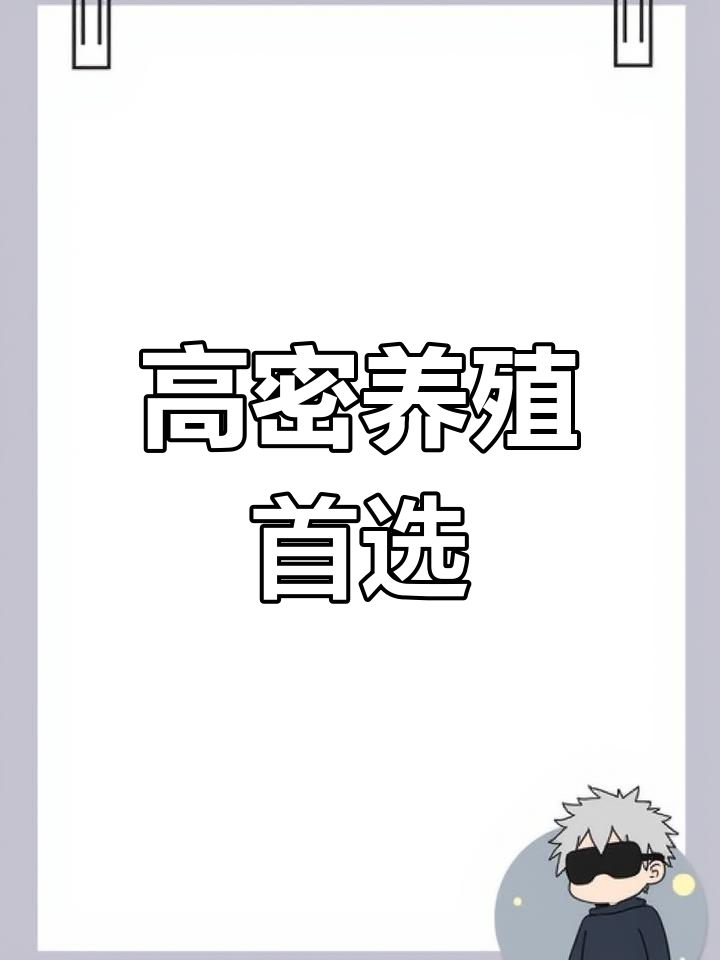 青竹鱼苗,肉质鲜美,耐寒易养,高密度养殖理想选择