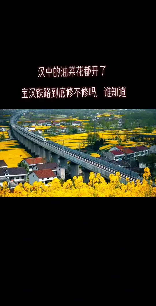 汉中油菜花已开，宝汉铁路究竟修不修？