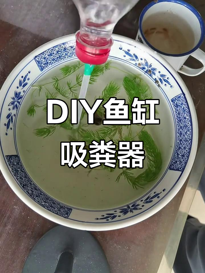 自制吸粪器教程,轻松搞定鱼缸清洁
