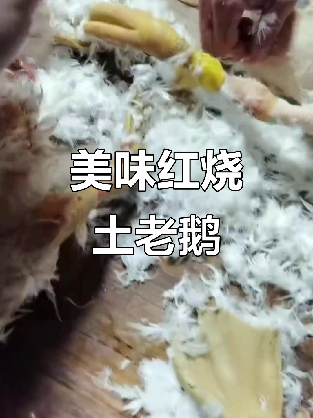 红烧土老鹅,家常味十足,真材实料才好吃