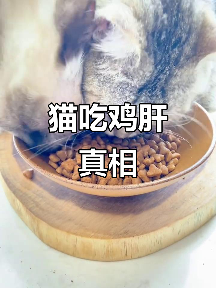 猫咪吃鸡肝,利大于弊!
