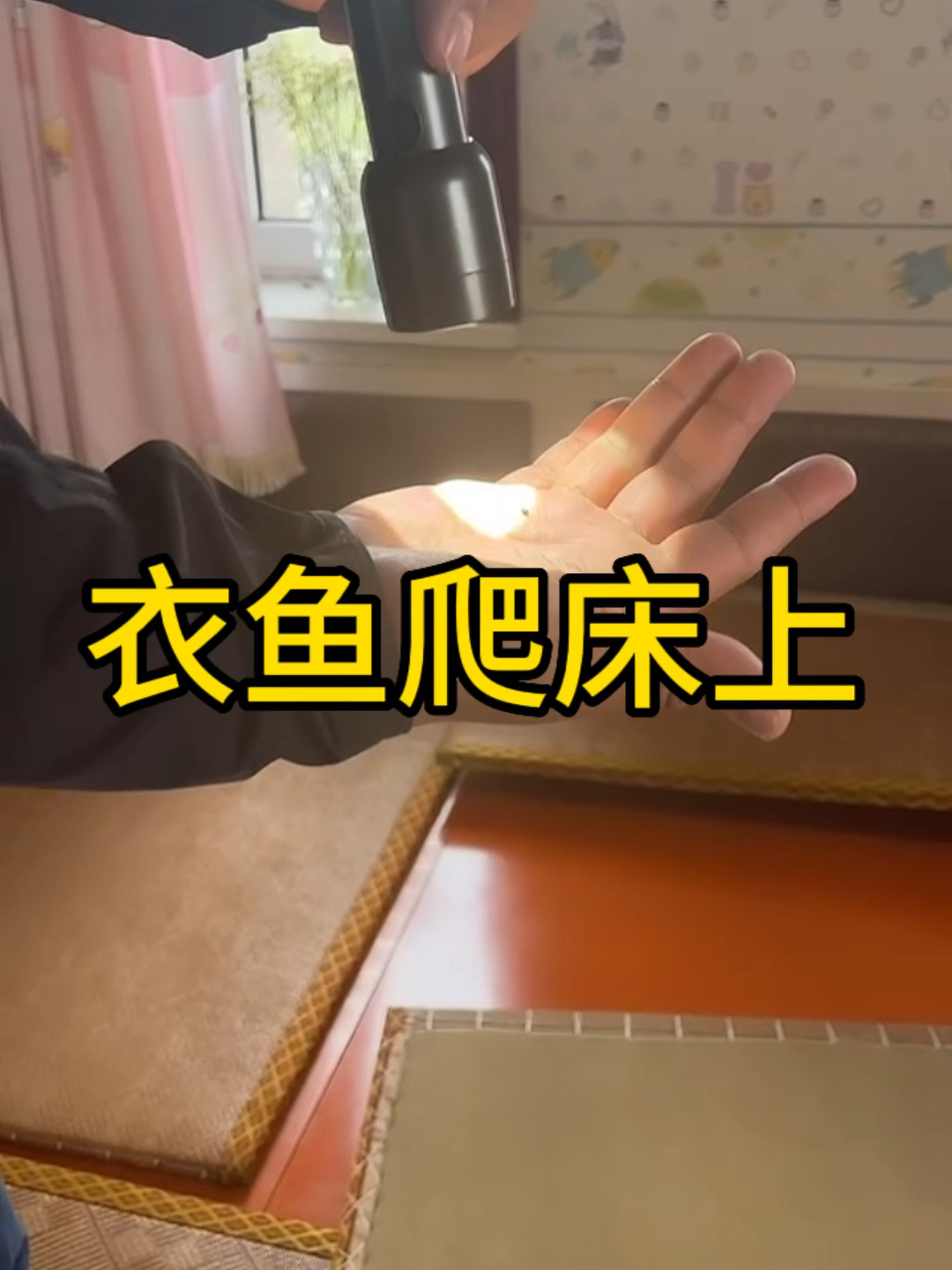 衣鱼虫怎么爬到床上?