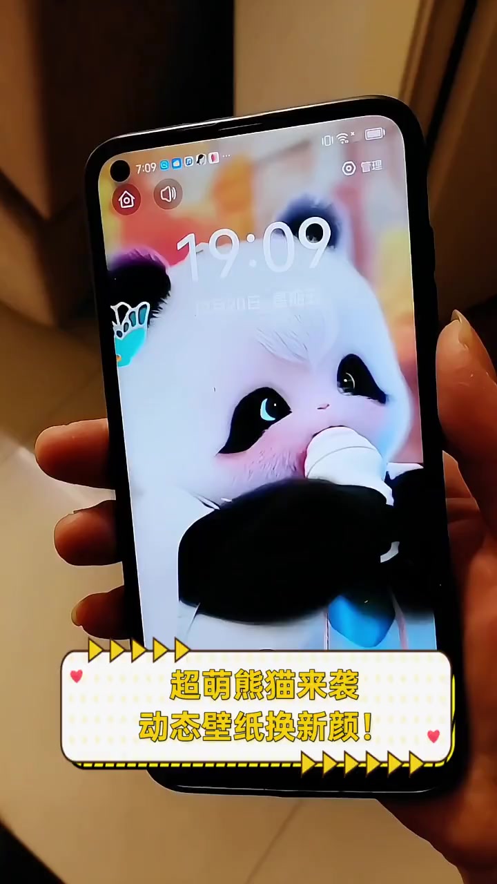 超萌熊猫来袭,动态壁纸换新颜!