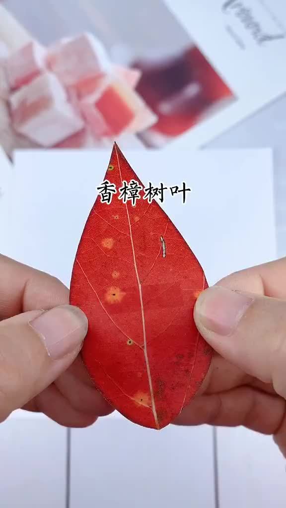 「儿童创意手工」又一个超棒的树叶画创意!哇,成品好漂亮!(视频cr.果果手工呀)