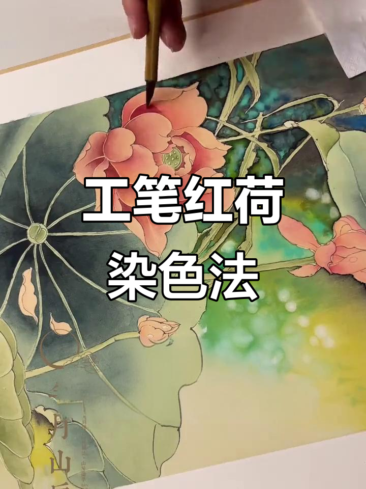 十步学会工笔画红色荷花,步骤详解轻松掌握