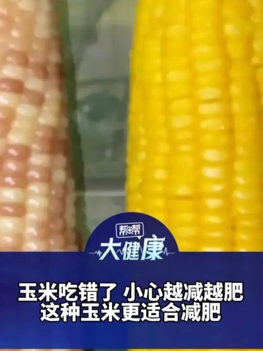 玉米吃错了 小心越减越肥 半斤糯玉米 热量高达400千卡 医生:这种玉米更适合减肥 搭配鸡