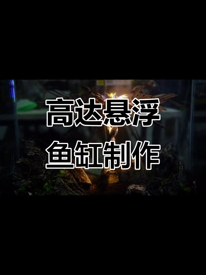 高达鱼缸造景:如何让高达总飘起来,背后竟是这样!