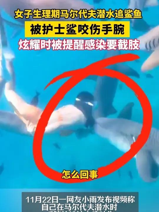 女子生理期马尔代夫潜水追鲨鱼!被护士鲨咬伤手腕!炫燿时被提醒感染要截肢!