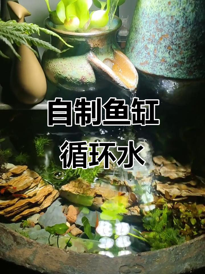 鱼缸造景小技巧,打造生态循环水系统