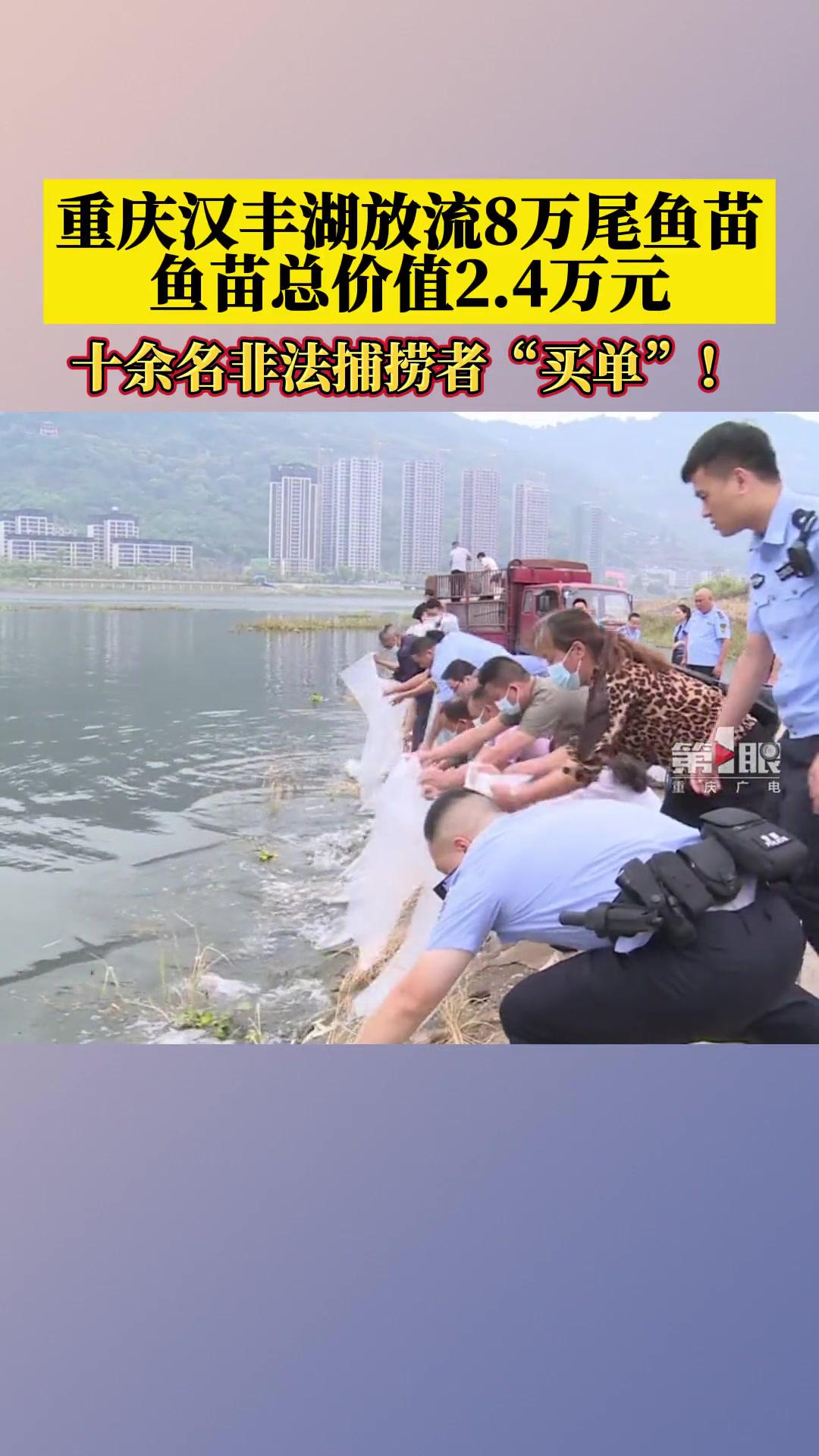 9月15日,重庆汉丰湖放流8万尾鱼苗,由非法捕捞者买单!