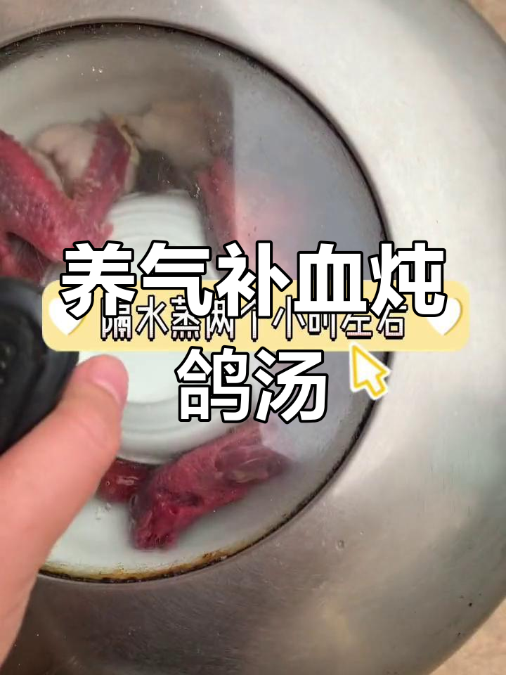 乌鸡白凤丸蒸鸽子,滋补养血秘方