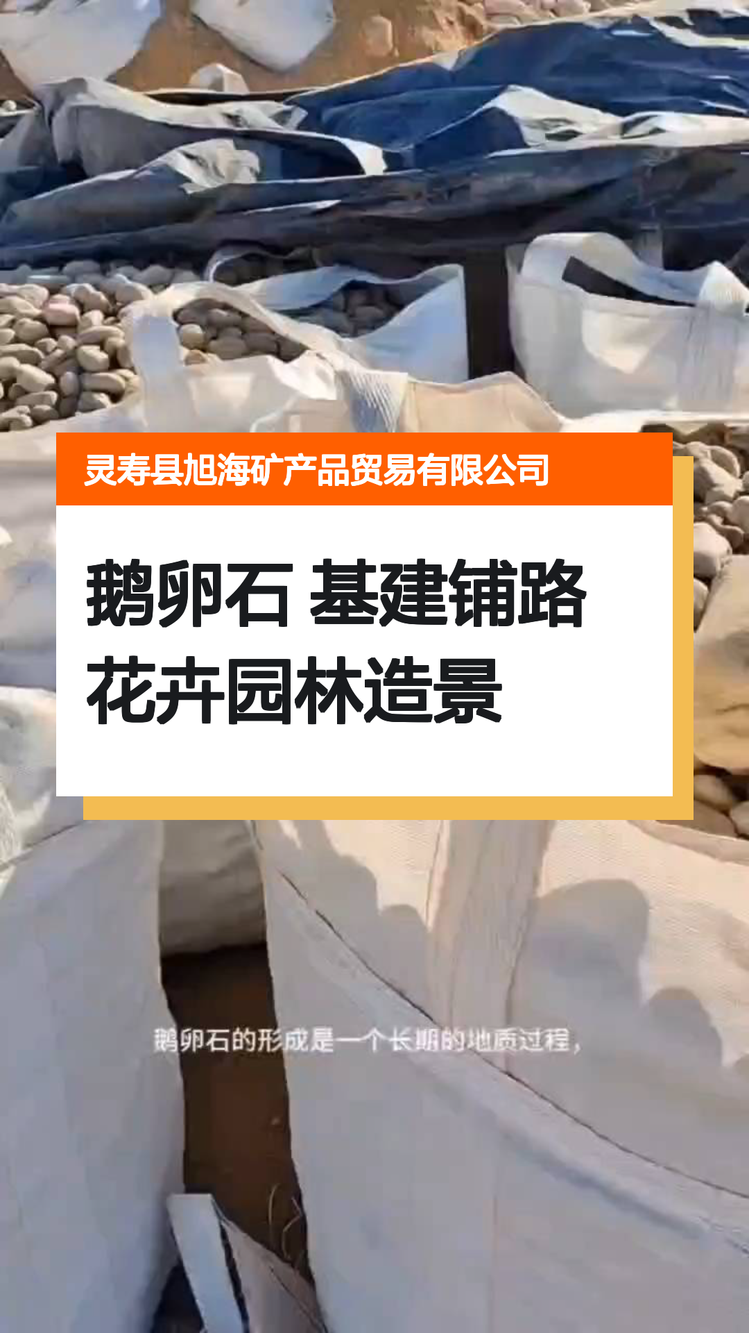 鹅卵石 基建铺路 花卉园林造景