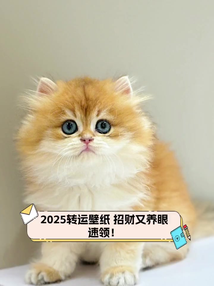 2025转运壁纸,招财又养眼,速领!