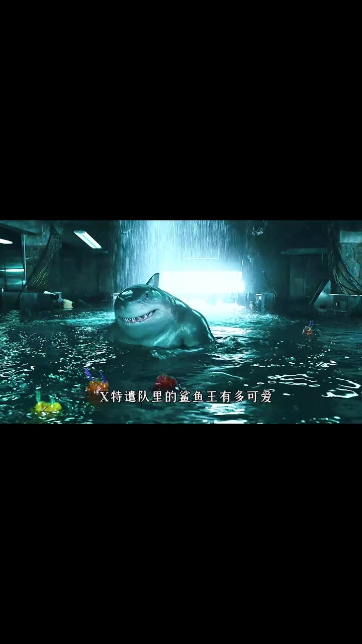谁能拒绝一只蠢萌蠢萌的鲨鱼王呢