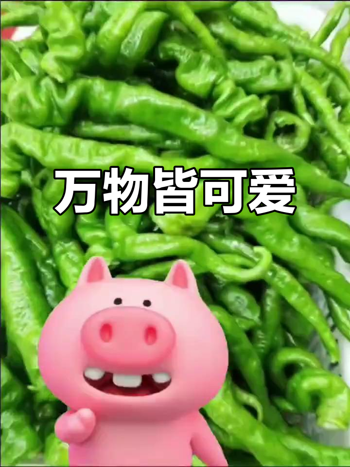只要没毒,万物皆可吃!木桶饭卖不停