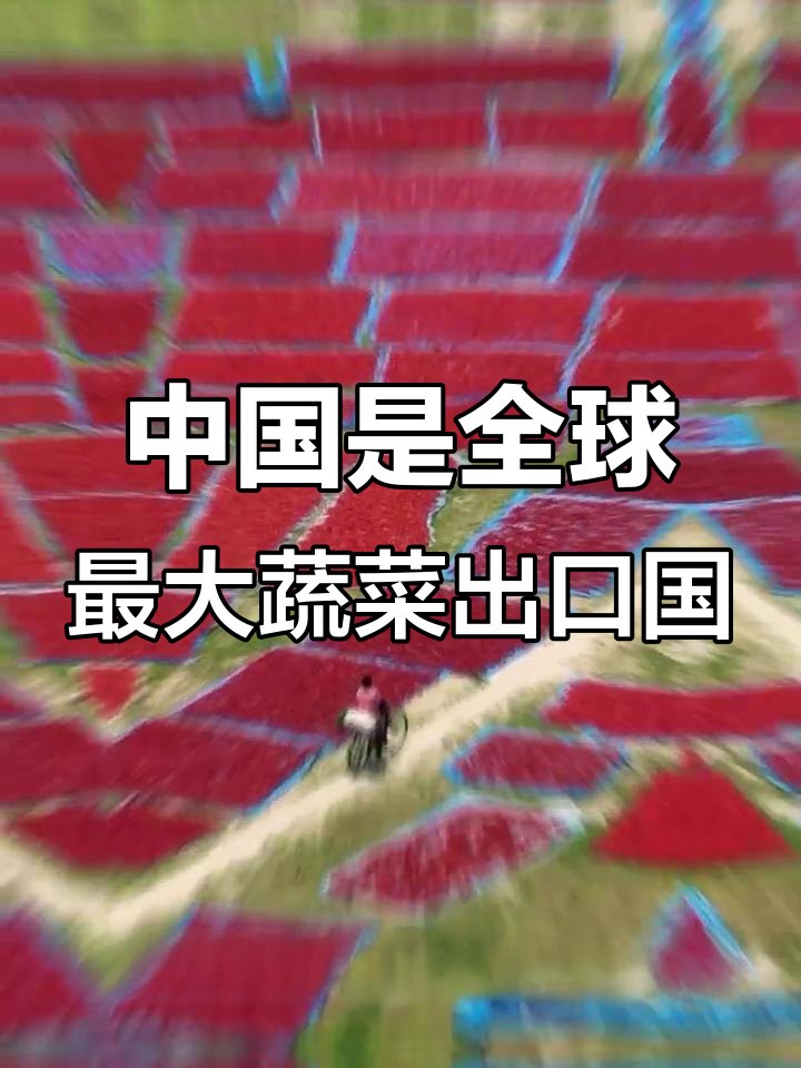 中国蔬菜出口全球领先,大蒜、番茄等品类最受欢迎