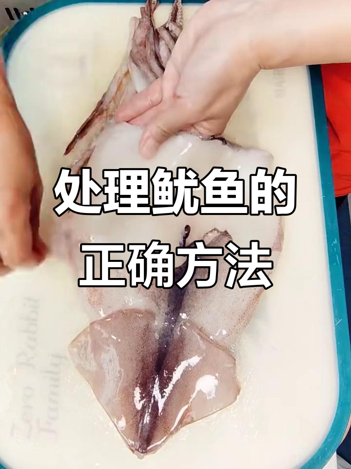 鱿鱼处理技巧大揭秘,简单几步搞定