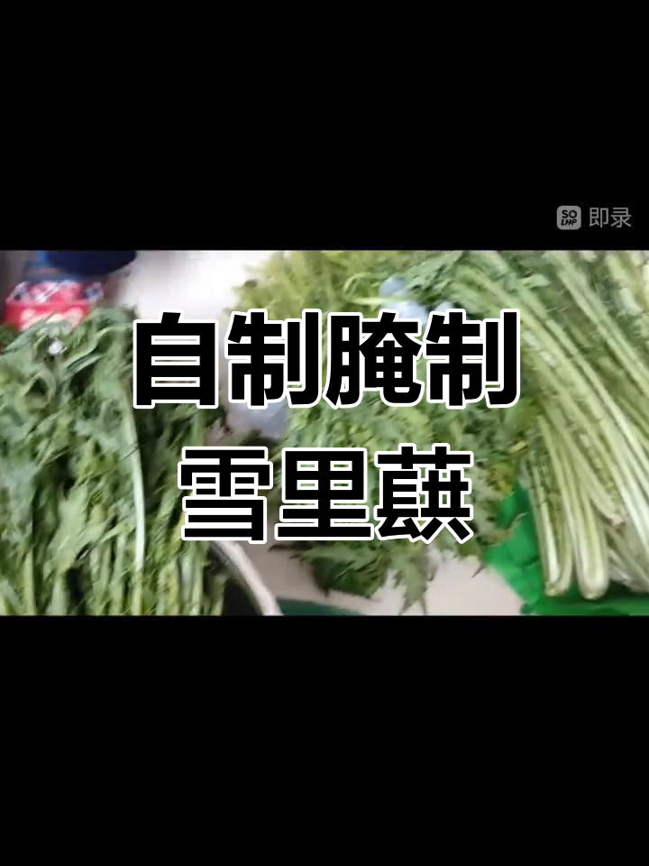 雪里蕻腌菜,10斤配1斤盐