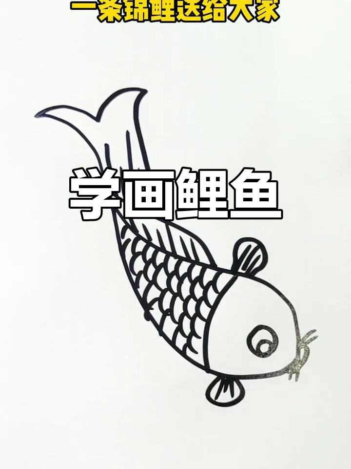 简单又漂亮的鲤鱼简笔画教程