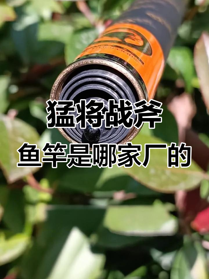 猛将战斧鱼竿是哪个品牌?揭秘渔具厂背后的故事
