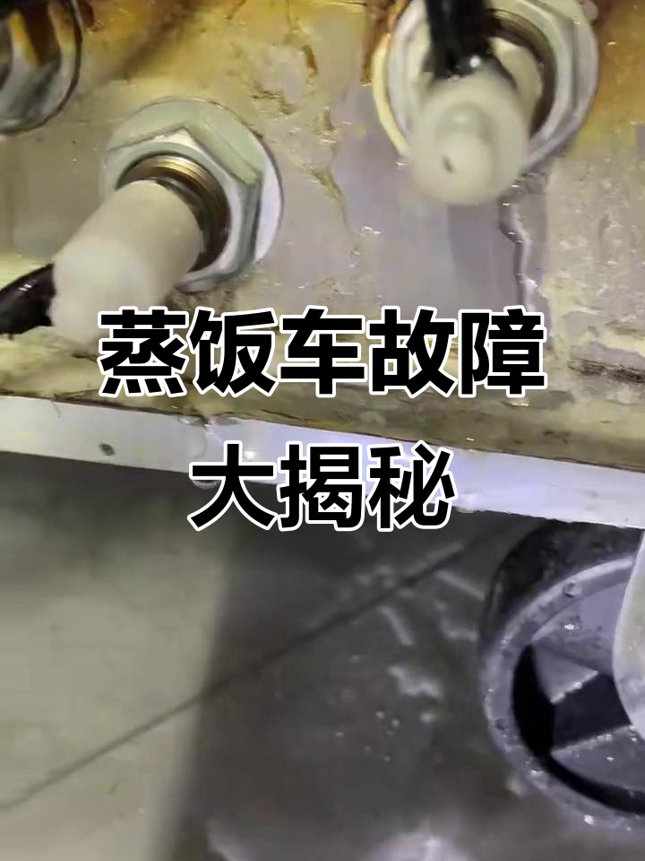 蒸饭车干烧漏水,加热管全坏!