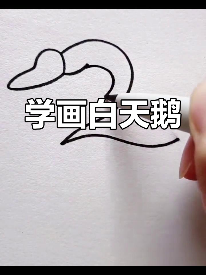 轻松学画白天鹅，创意简笔画教程