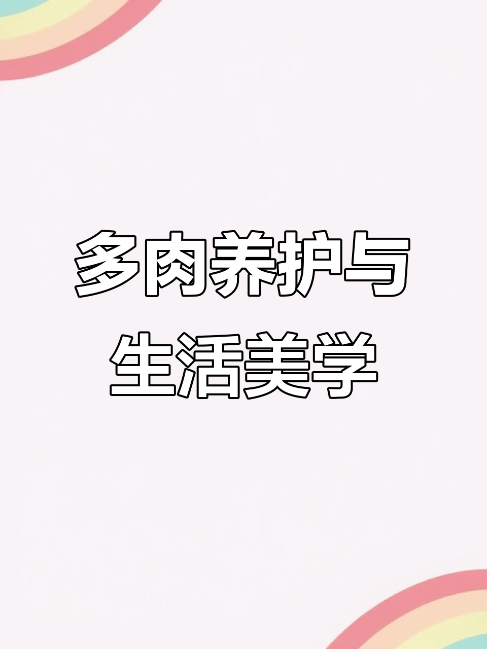丝绸面纱下的多肉世界,美丽与生活的完美结合