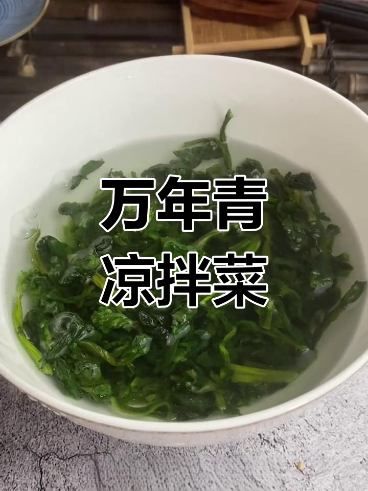 浙江特产万年青,脆嫩清香,做法多样