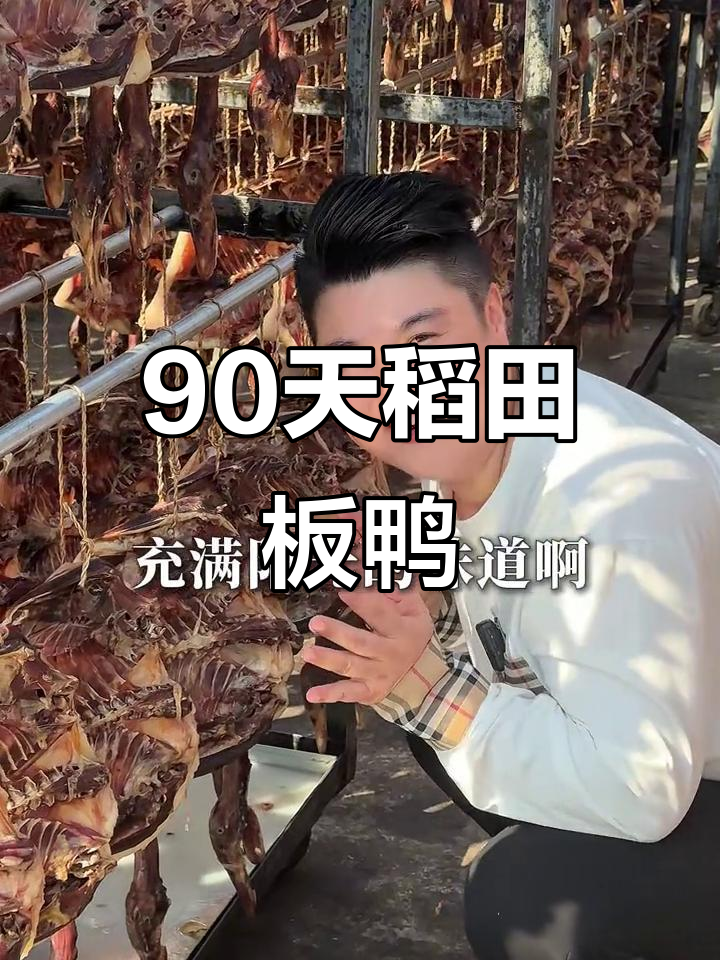 90天谷饲板鸭,晒出满满油香!探秘遂川辣味板鸭的独特魅力