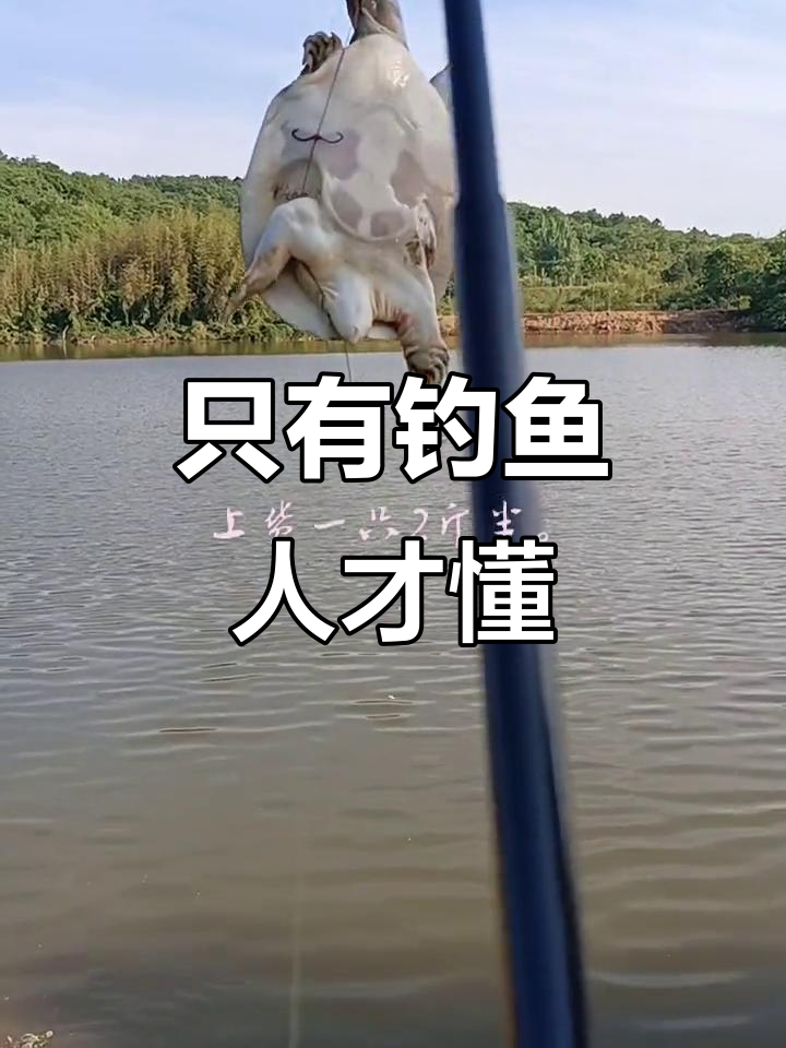 钓鱼人才能懂的苦与乐,执着背影在风中