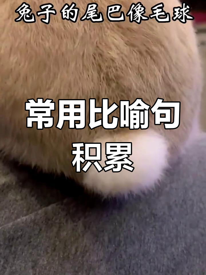 一年级二年级比喻句大集合,期末复习必备!