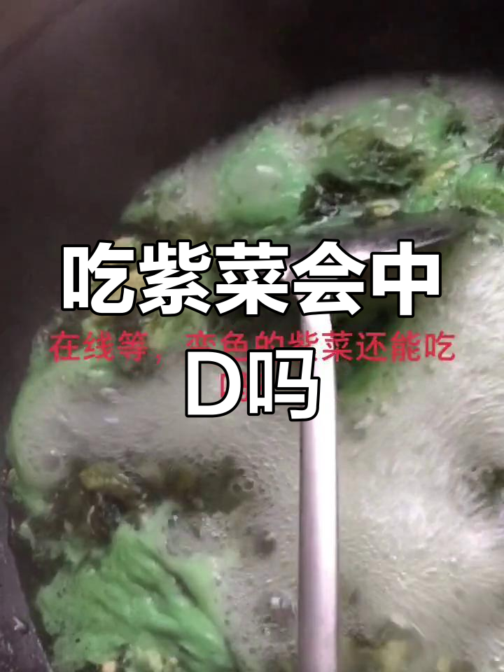 紫菜吃多了会中毒吗?