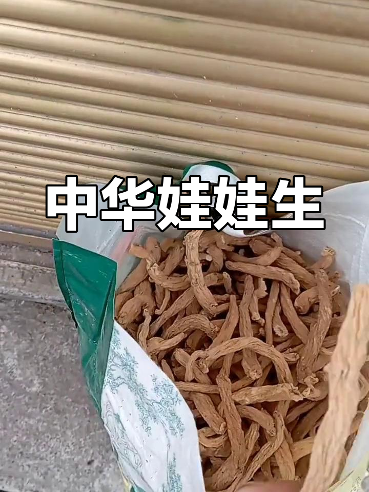 湖北沙参:冷背药材与泡菜之选