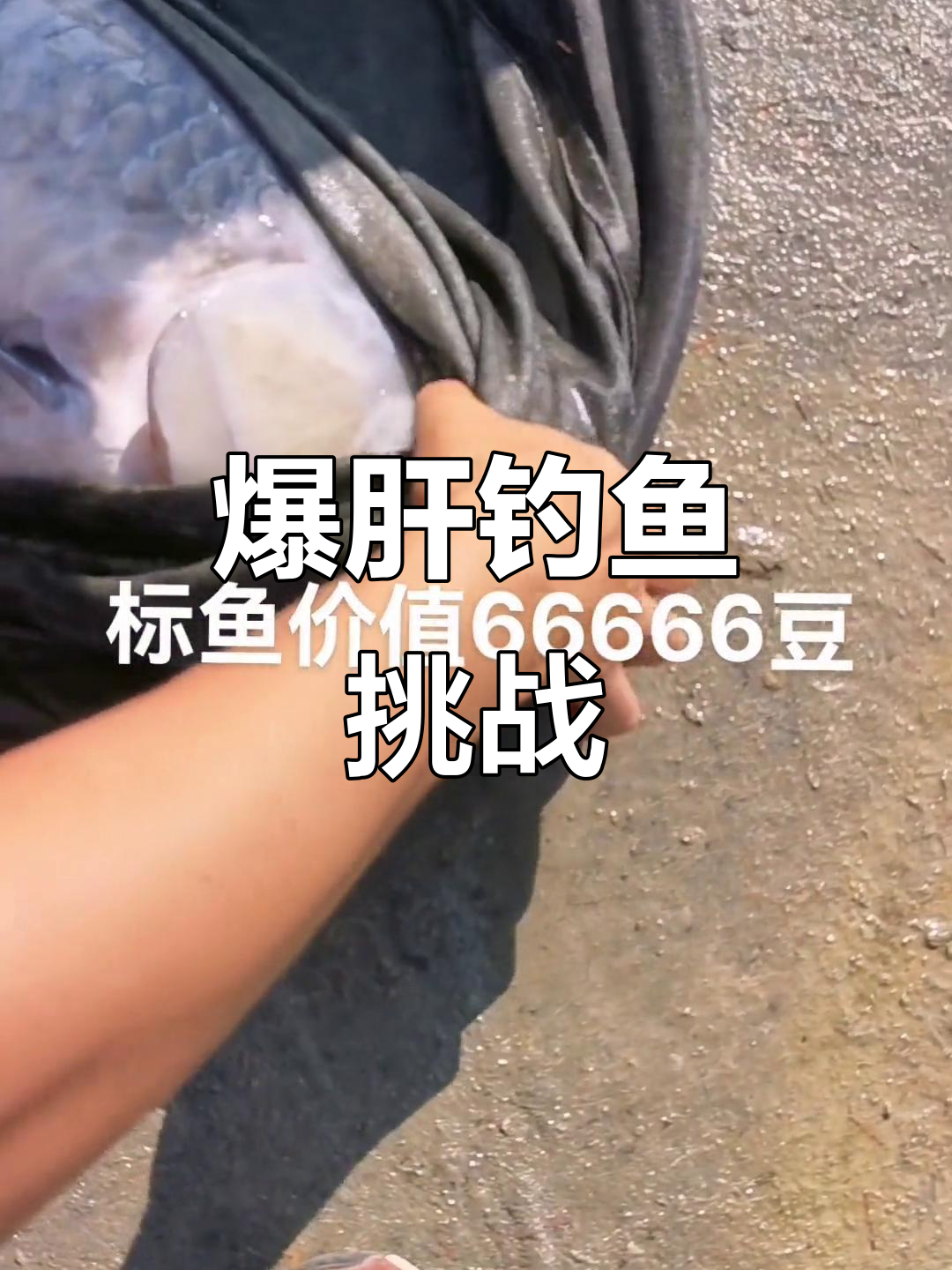 黑坑钓大物,6万六的标鱼惊险出塘!