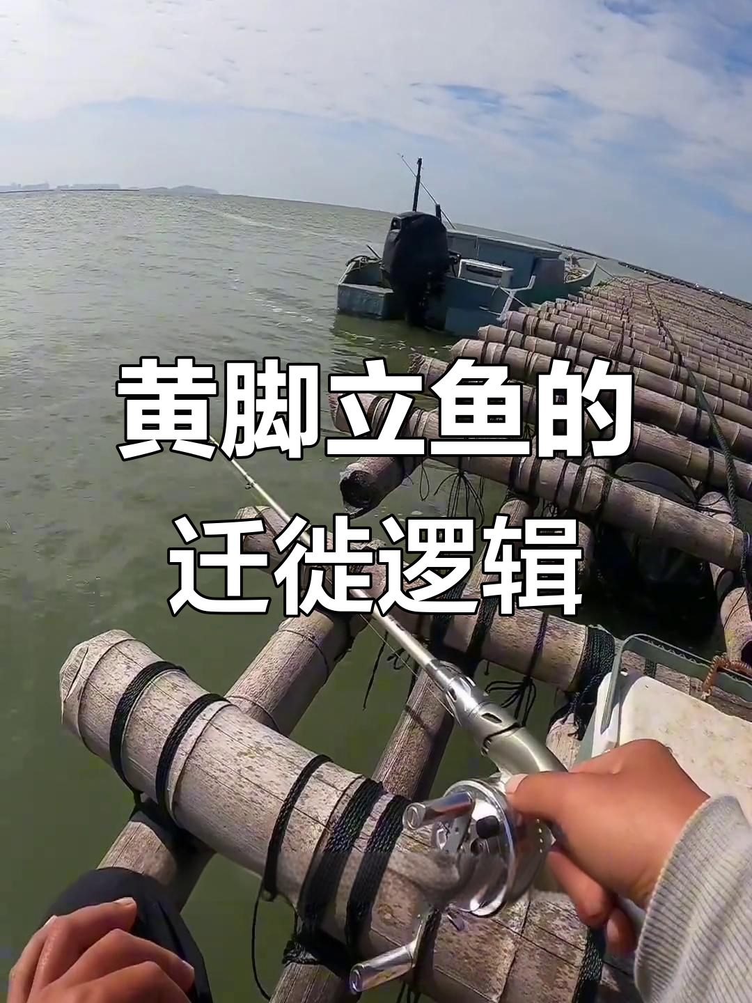 黄脚立鱼迁徙揭秘:水温如何主导它们的生死时速