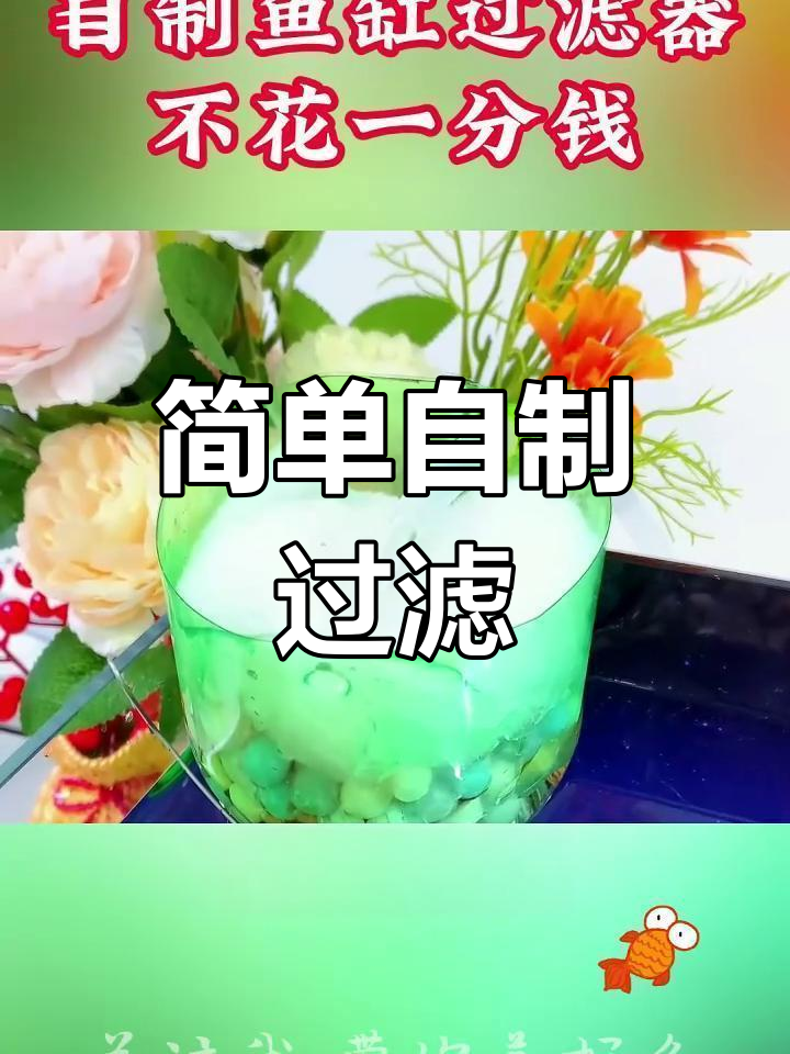 自制鱼缸过滤器,省钱又实用