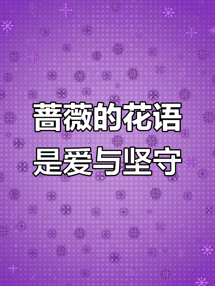 蔷薇花语:炽热爱意与永恒守望,刺破黑暗的温暖心声