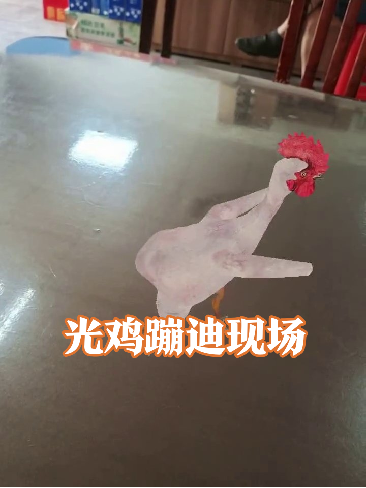 脱毛鸡魔性扭臀,每一步都踩在笑点上!