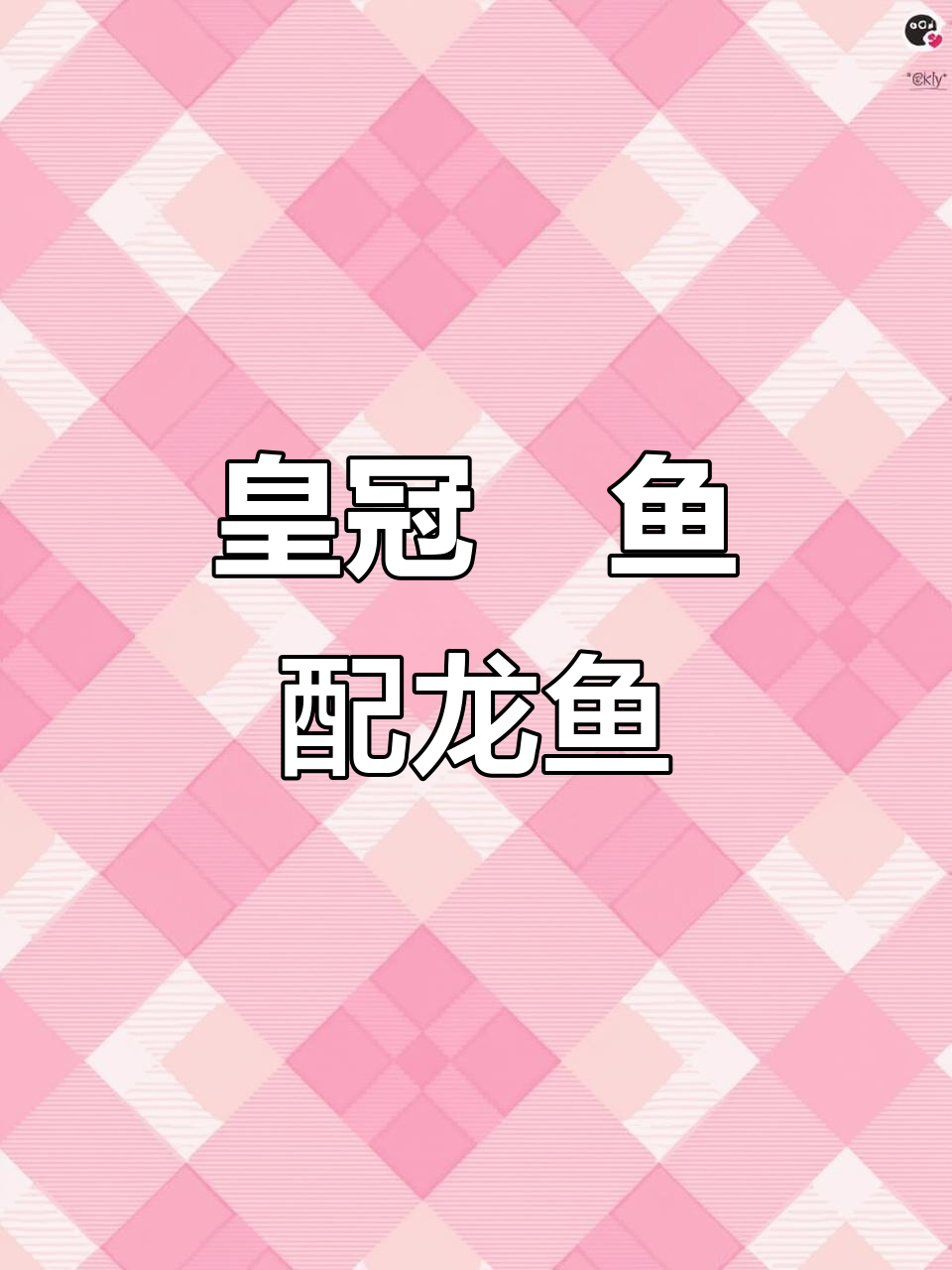 皇冠魟鱼与底层龙鱼的奇妙搭配,火山上的神秘生物