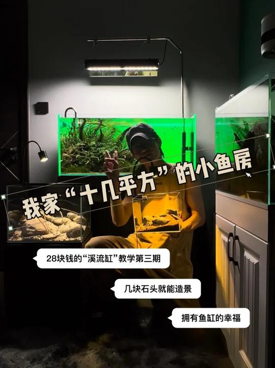 十几平的小鱼房是我一手搭建出来的