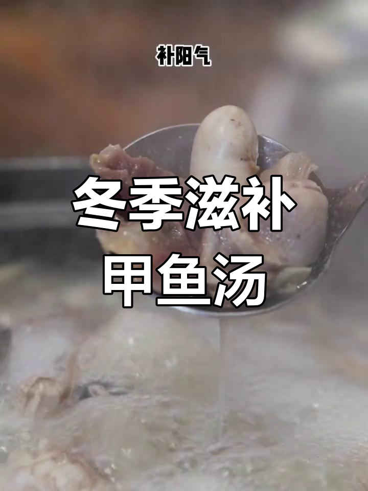 防城港秋冬滋补汤,甲鱼鸡子牛鞭煲,暖身又抗衰老