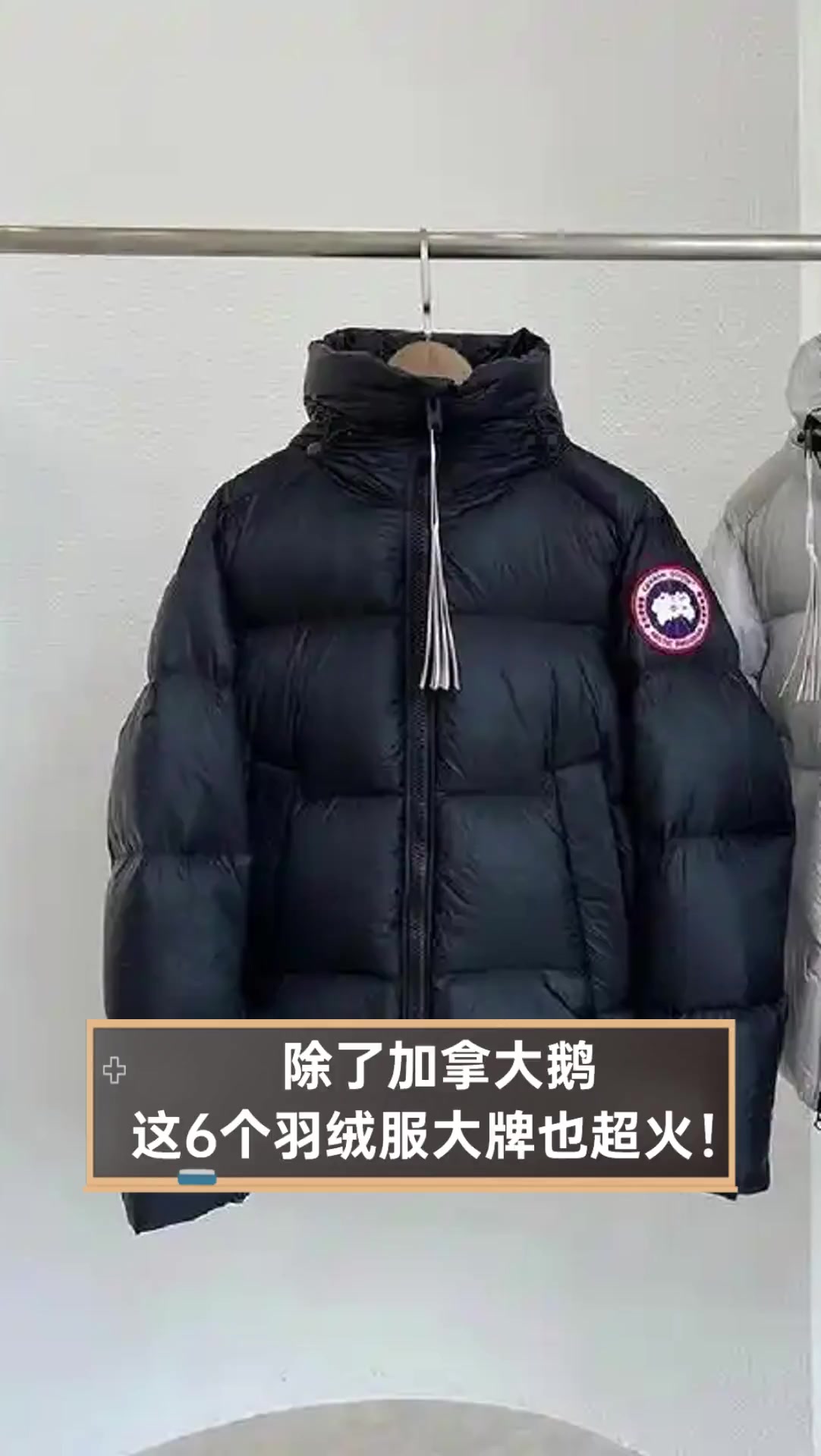 除了加拿大鹅,这6个羽绒服大牌也超火!