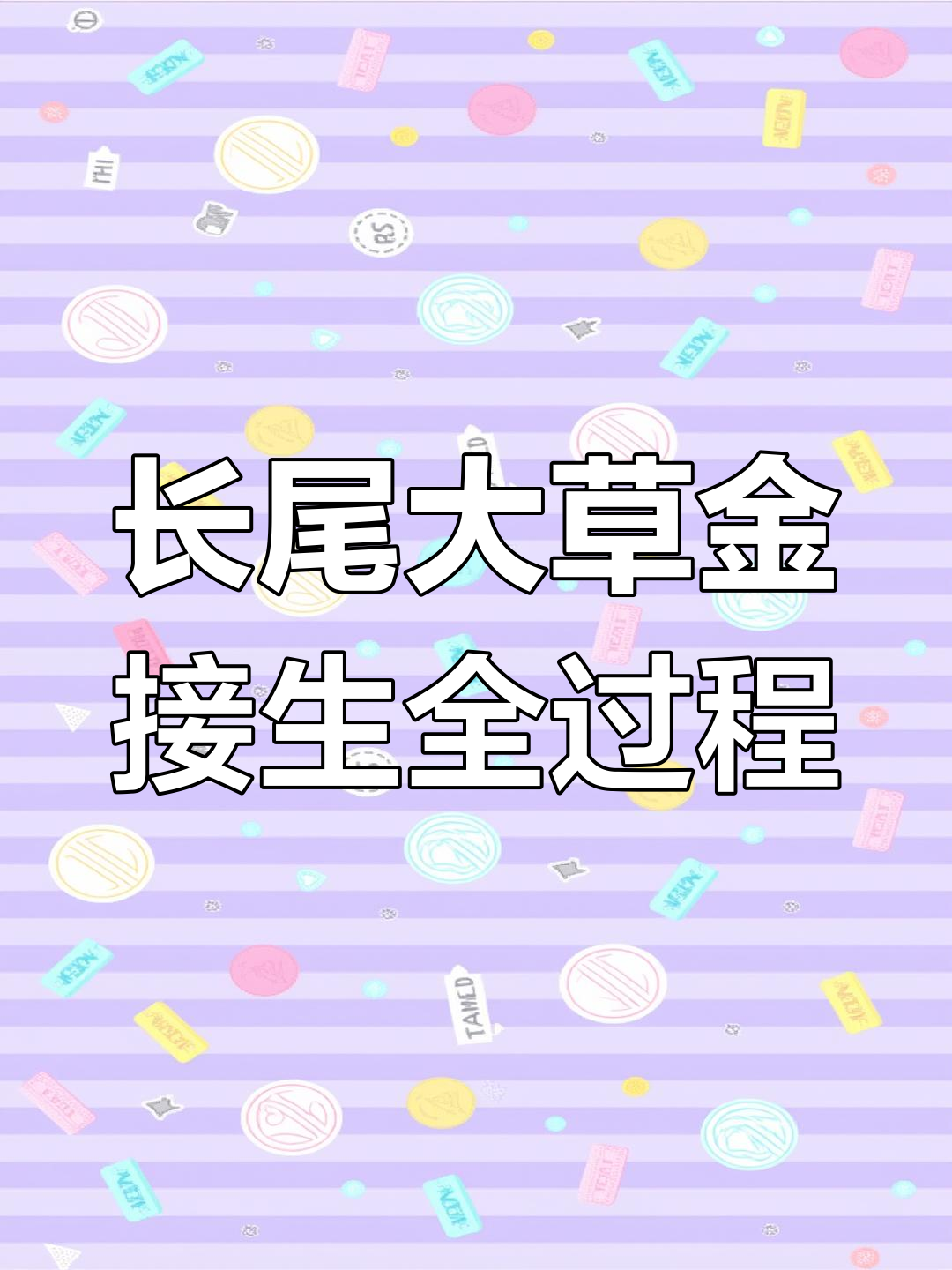 极品长尾草金诞生,鱼缸水浑浊背后的秘密